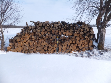 Firewood and Snow
